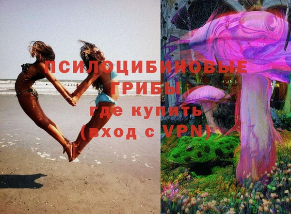 метадон Медвежьегорск