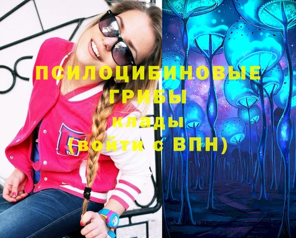 метадон Медвежьегорск