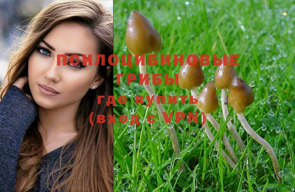мяу мяу кристалл Мегион