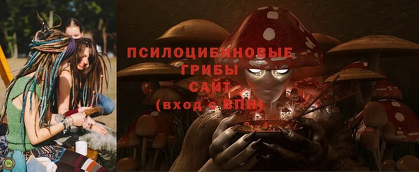 метадон Медвежьегорск